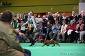 Crufts2011_2 1028